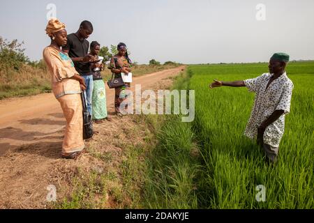 Selingue, Mali, 28 aprile 2015; Madame Sogoba, tecnico agricolo, Consulenza agricoltore Alou Doumbia. Spiega che il suo raccolto non è molto avanzato Foto Stock