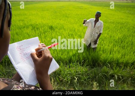 Selingue, Mali, 28 aprile 2015; Madame Sogoba, tecnico agricolo, Consulenza agricoltore Alou Doumbia. Spiega che il suo raccolto non è molto avanzato Foto Stock