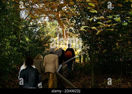 Family Sunday Walk a Hampstead Heath, Londra durante la pandemia del Covid19. Famiglia godendo un po 'di esercizio quotidiano e di qualità tempo insieme in natura. Foto Stock