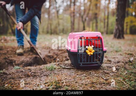 Uomo scavando una tomba nel cimitero degli animali domestici. Il gravedigger scava il foro di sepoltura dell'animale domestico nell'area boscosa. Scatola da trasporto per animali con giocattolo sullo sfondo della tomba. Tema Foto Stock