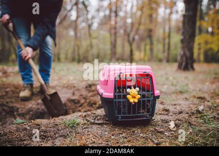 Spaventosa scena horror uomo digs tomba per animale in foresta. Terribile perdita di piccolo amico. Morte di animale domestico. Funerale di gatto. Gravedigger al lavoro. ANIMALI DOMESTICI RIP Foto Stock