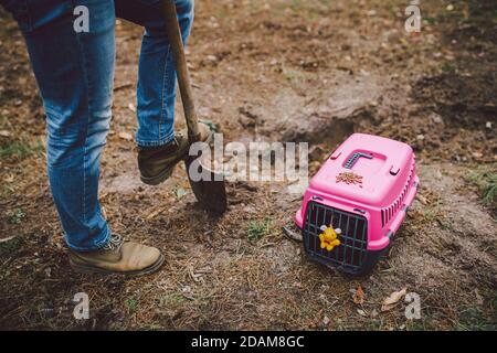 Uomo scavando una tomba nel cimitero degli animali domestici. Il gravedigger scava il foro di sepoltura dell'animale domestico nell'area boscosa. Scatola da trasporto per animali con giocattolo sullo sfondo della tomba. Tema Foto Stock