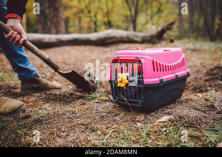 Uomo scavando una tomba nel cimitero degli animali domestici. Il gravedigger scava il foro di sepoltura dell'animale domestico nell'area boscosa. Scatola da trasporto per animali con giocattolo sullo sfondo della tomba. Tema Foto Stock