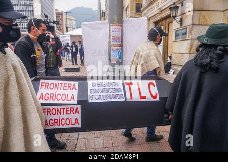 Bogotà, Colombia. 13 Nov 2020. Un gruppo di contadini porta una bara davanti al Ministero dell'Agricoltura durante una protesta a BogotÃ¡. Gli agricoltori colombiani e i produttori di patate hanno protestato per chiedere al governo soluzioni alla crisi del settore che li ha costretti a vendere la loro produzione sulle autostrade e sui pedaggi del paese per ammortizzare le perdite economiche. Credit: Daniel Garzon Herazo/ZUMA Wire/Alamy Live News Foto Stock