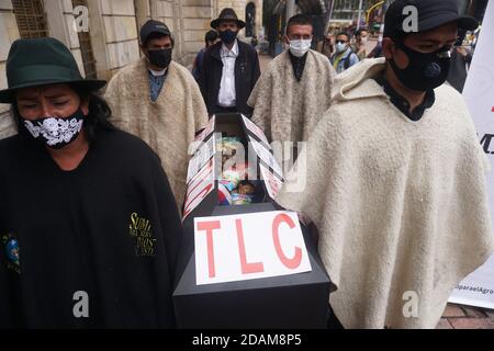 Bogotà, Colombia. 13 Nov 2020. Un gruppo di contadini porta una bara davanti al Ministero dell'Agricoltura durante una protesta a BogotÃ¡. Gli agricoltori colombiani e i produttori di patate hanno protestato per chiedere al governo soluzioni alla crisi del settore che li ha costretti a vendere la loro produzione sulle autostrade e sui pedaggi del paese per ammortizzare le perdite economiche. Credit: Daniel Garzon Herazo/ZUMA Wire/Alamy Live News Foto Stock