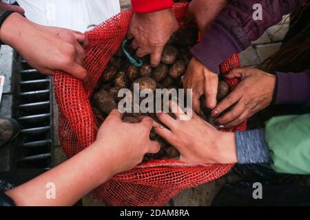 Bogotà, Colombia. 13 Nov 2020. I contadini colombiani e i coltivatori di patate si sono mobilitati questo venerdì a BogotÃ¡ per chiedere "soluzioni reali" dal governo alla crisi nel settore che li ha costretti a vendere la loro produzione sulle autostrade del paese e sui pedaggi per ammortizzare le perdite economiche. Credit: Daniel Garzon Herazo/ZUMA Wire/Alamy Live News Foto Stock