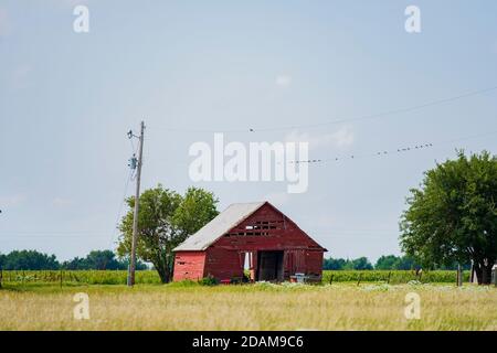 Un vecchio fienile in legno rosso in caduta separata nella campagna del Kansas, con un campo di mais e uccelli su una linea. Kansas, Stati Uniti. Foto Stock