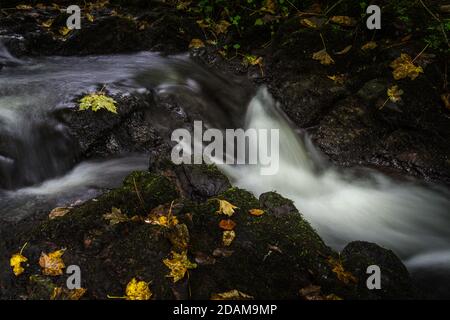 Cascata in Fairy Glen Falls, Rosemarkie, Fortrose, Highlands, Scoland, Regno Unito Foto Stock