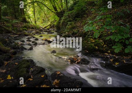 Cascata in Fairy Glen Falls, Rosemarkie, Fortrose, Highlands, Scoland, Regno Unito Foto Stock