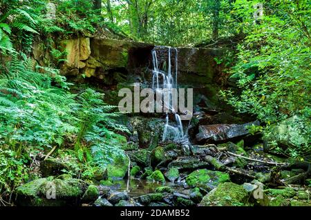 Piccola cascata su letti di arenaria spostati sul Porter Brook in Porter Clough vicino a Fulwood, Sheffield. Foto Stock