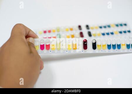 Kit di test per l'identificazione di batteri Gram positivi e Gram negativi e lieviti. Foto Stock