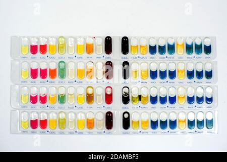 Kit di test per l'identificazione di batteri Gram positivi e Gram negativi e lieviti. Foto Stock