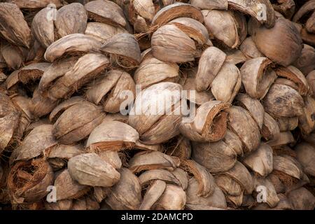 Bucce di cocco spogliate, Masbagik, Lombok, Indonesia Foto Stock