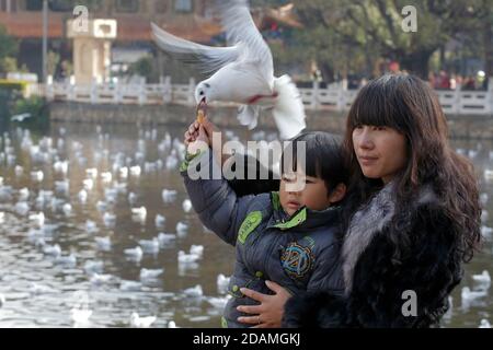 Nutrire i gabbiani mentre si posa per una foto, madre e figlio, Green Lake Park, Kunming, Yunnan, Cina gennaio 2013 Foto Stock