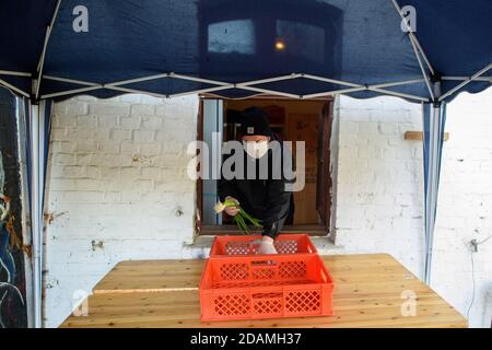 Halberstadt, Germania. 13 Nov 2020. Andreas Gottschalt dell'iniziativa 'Gastro hilft' distribuisce il cibo donato dai supermercati in scatole nel 'centro culturale sociale'. Il cibo proveniente da diversi supermercati della regione viene distribuito il lunedì, il mercoledì e il venerdì senza un test di mezzi. Attualmente, circa 25 a 30 persone sono fornite di cibo donato. Credit: Klaus-Dietmar Gabbert/dpa-Zentralbild/dpa/Alamy Live News Foto Stock