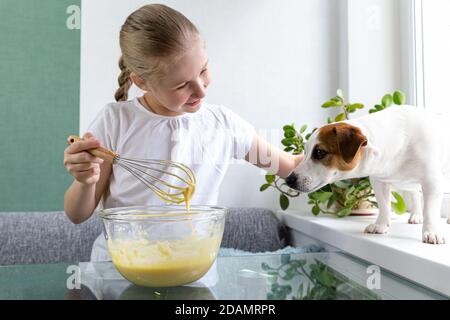 Una ragazza in una T-shirt bianca tratta il cane di Jack Russell con l'impasto di whisky di una frusta. Cane affamato. Per un amico, non importa. Cucinare a casa. Foto Stock