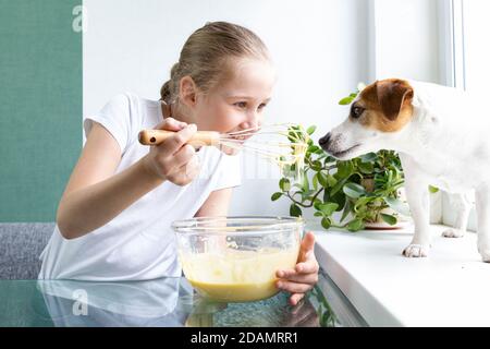 Una ragazza in una T-shirt bianca tratta il cane di Jack Russell con l'impasto di whisky di una frusta. Cane affamato. Per un amico, non importa. Cucinare a casa. Foto Stock