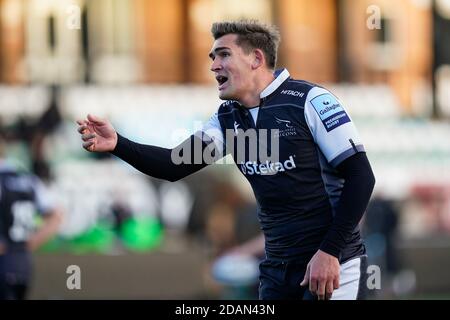 Kenton Bank Foot, Regno Unito. 07 luglio 2020. INONDAZIONE di Toby (12) di Newcastle Falcons durante la partita amichevole tra Newcastle Falcons e Ealing Trailfinders a Kingston Park, Kenton Bank Foot, Newcastle, Inghilterra, il 13 novembre 2020. Foto di David Horn. Credit: Prime Media Images/Alamy Live News Foto Stock