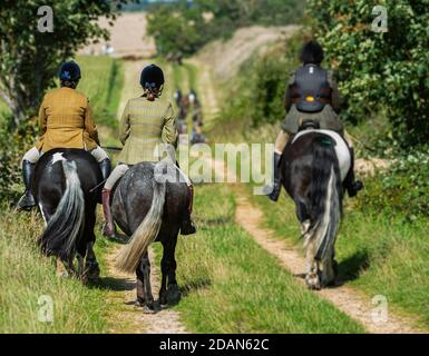 Un gruppo di cavalieri e pony fuori per un hack pomeridiano in un pomeriggio di autunno soleggiato Foto Stock