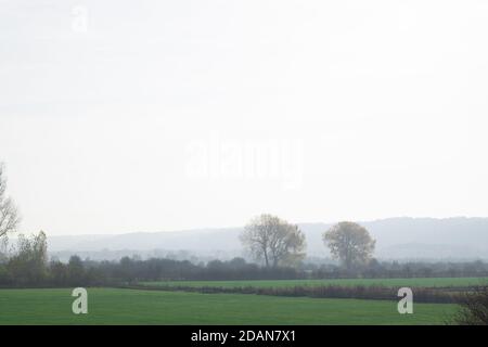 Misty paesaggio olandese polder nei Paesi Bassi, in Europa Foto Stock