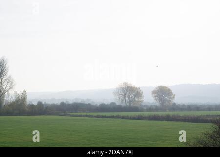 Misty paesaggio olandese polder nei Paesi Bassi, in Europa Foto Stock