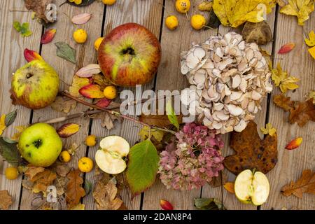 Un'esposizione autunnale di una varietà di mele, foglie d'autunno e idrangee secche su un tavolo di legno Foto Stock