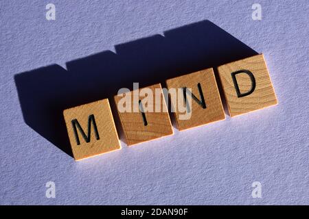 Mente, parola in lettere alfabetiche in legno isolate su sfondo viola Foto Stock