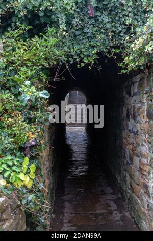 Tunnel di urlo (Dracula's Tunnel) Whitby, North Yorkshire, Regno Unito Foto Stock