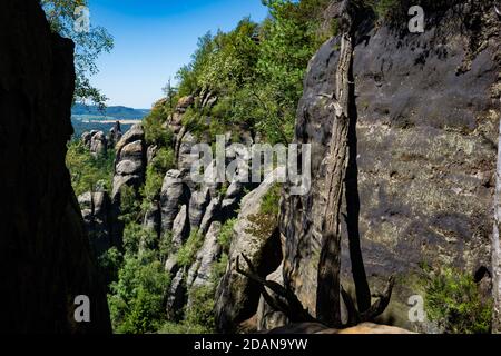 i pichi affilati in arenaria si levano in piedi fuori dal forrest Foto Stock