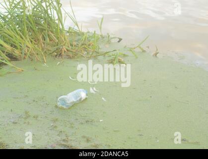 Una bottiglia di plastica galleggia nel fango vicino alla riva. Foto Stock