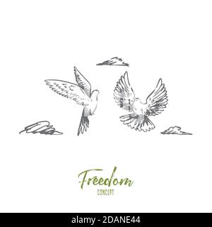 Libertà, pace, coppia, volo, concetto di uccelli. Vettore isolato disegnato a mano. Illustrazione Vettoriale