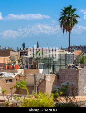 Palme e gli edifici della città di Marrakech in primo piano, e le montagne dell'Atlante sullo sfondo. Contrasti della città, concetto di viaggio. Foto Stock