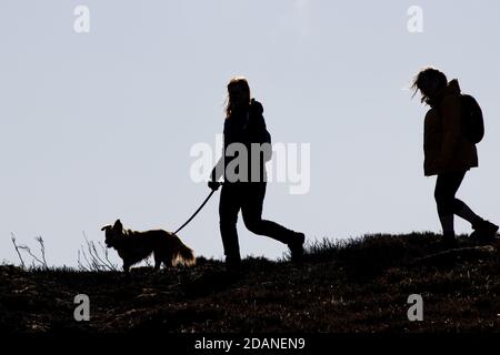 Silhouette, immagine creativa di due persone che camminano all'aperto con un cane, Inghilterra Foto Stock