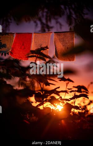 bandiere di preghiera nepalesi che sventolano durante il tramonto Foto Stock