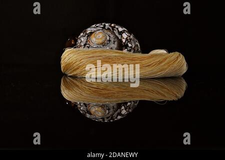 Immagine riflettente di una conchiglia nautilus avvolta in una matassa di fili dorati. Foto Stock