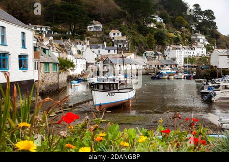 Il porto nel pittoresco villaggio di pescatori di Polperro, Cornovaglia, Inghilterra, Regno Unito Foto Stock