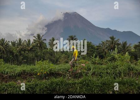 Sleman, YOGYAKARTA, INDONESIA. 14 novembre 2020. I contadini camminano su risaie con lo sfondo del Monte Merapi a Pakem, Sleman, Yogyakarta Indonesia, mercoledì 14 novembre 2020. Il Centro per la Ricerca e lo sviluppo tecnologico in caso di disastri geologici (BPPTKG) ha aggiornato lo status di Mount Merapi da livello di allerta a livello di allerta il 5 novembre 2020. BPPTKG ha informato che la deformazione di Babadan con la misurazione elettronica della distanza (EDM) è di 13 cm al giorno. Le autorità indonesiane hanno iniziato a evacuare le persone che vivono sulle fertili pendici del vulcano il venerdì a seguito dell'aumento dell'attività vulcanica. (Immagine di credito: © Slice Foto Stock