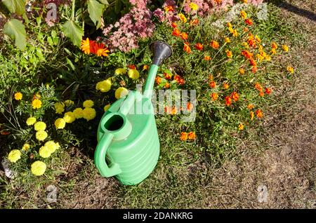 Annaffiatoio di plastica verde in cortile. Concetto di giardinaggio Foto Stock