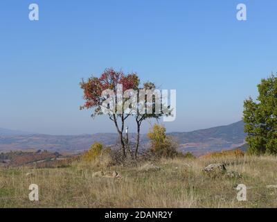 Colori autunnali sulla montagna Holomon, Halkidiki, Macedonia, Greeece Foto Stock