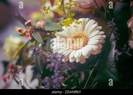 Bouquet di fiori con una miscela di fiori tra cui lavanda, una grande margherita e altre piante floreali e frondosi. Foto Stock