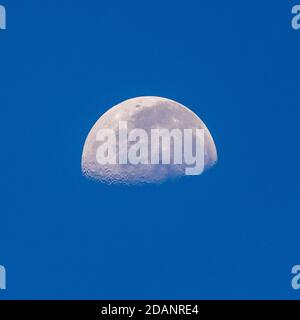 Luna su cielo quadrato blu Crop alla luce del mattino con impostazione mezza luna e crateri visibili. Foto Stock