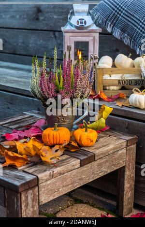 Decorazione giardino autunno su terrazza e patio con zucche e. Piante di erica (Calluna vulgaris) Foto Stock