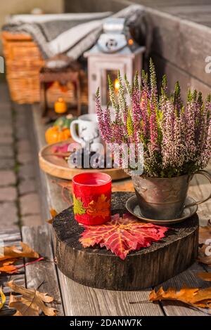 Decorazione giardino autunno su terrazza e patio con zucche e. Piante di erica (Calluna vulgaris) Foto Stock