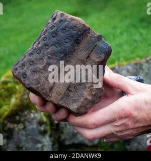 Persona che detiene un antico fossile carbonifero estinto - fossile grande trovato in un muro di pietra nello Yorkshire: Un geologo locale ha dato queste informazioni: 'La radice con il suo modello di rootlet è conosciuto come Stigmaria e forse da un Lepiodendron o Sigilaria albero. Si può anche vedere il ‘pith' che sarebbe stato al centro della radice. Un esemplare molto bello, vale la pena di tenere.' Foto Stock