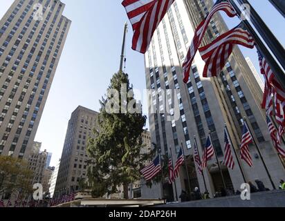 New York, Stati Uniti. 14 novembre 2020. L'albero di Natale del Rockefeller Center viene sollevato in posizione da una gru quando arriva al Rockefeller Plaza a New York City sabato 14 novembre 2020. Quest'anno il Norway Spruce, alto 75 metri, proviene da Oneonta, New York. Foto di John Angelillo/UPI Credit: UPI/Alamy Live News Foto Stock