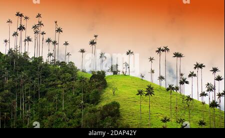 Paesaggio nuvoloso della valle di Cocora, Salento, Colombia, Sud America Foto Stock