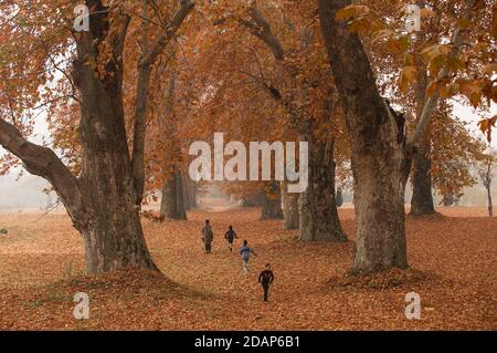 Srinagar, Kashmir controllato dall'India. 14 novembre 2020. I bambini giocano sotto gli alberi di chinar al giardino Nishat nella città di Srinagar, la capitale estiva del Kashmir controllato dagli Indiani, il 14 novembre 2020. Credit: Javed Dar/Xinhua/Alamy Live News Foto Stock