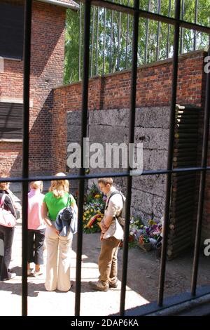 Il muro di morte e il cortile tra i blocchi 10-11 fotografati dall'esterno dietro le sbarre. Foto Stock