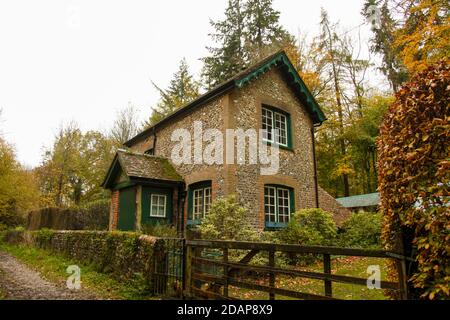 Flint cottage costruito in terreno boscoso su Ranmore Common Walk, Surrey Hills, Inghilterra, Regno Unito, novembre 2020 Foto Stock