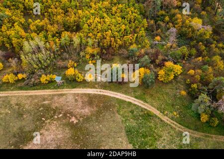 Un campo bordo con un prato verde, un alto stand per i cacciatori e una foresta mista in autunno Foto Stock